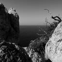bomen op rotsen, Itali, trees on a rock, rocks, Italy, zwart wit foto, black and white photograph