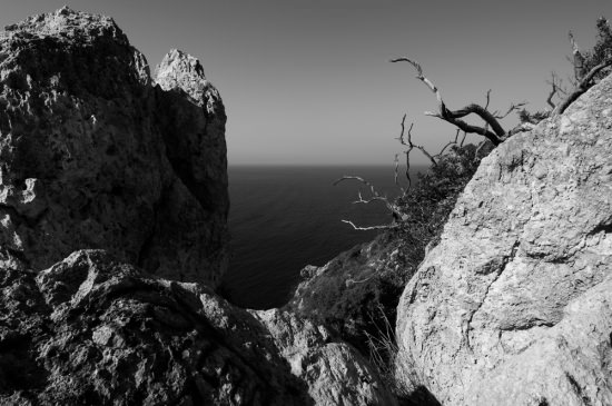 bomen op rotsen, Itali, trees on a rock, rocks, Italy, zwart wit foto, black and white photograph